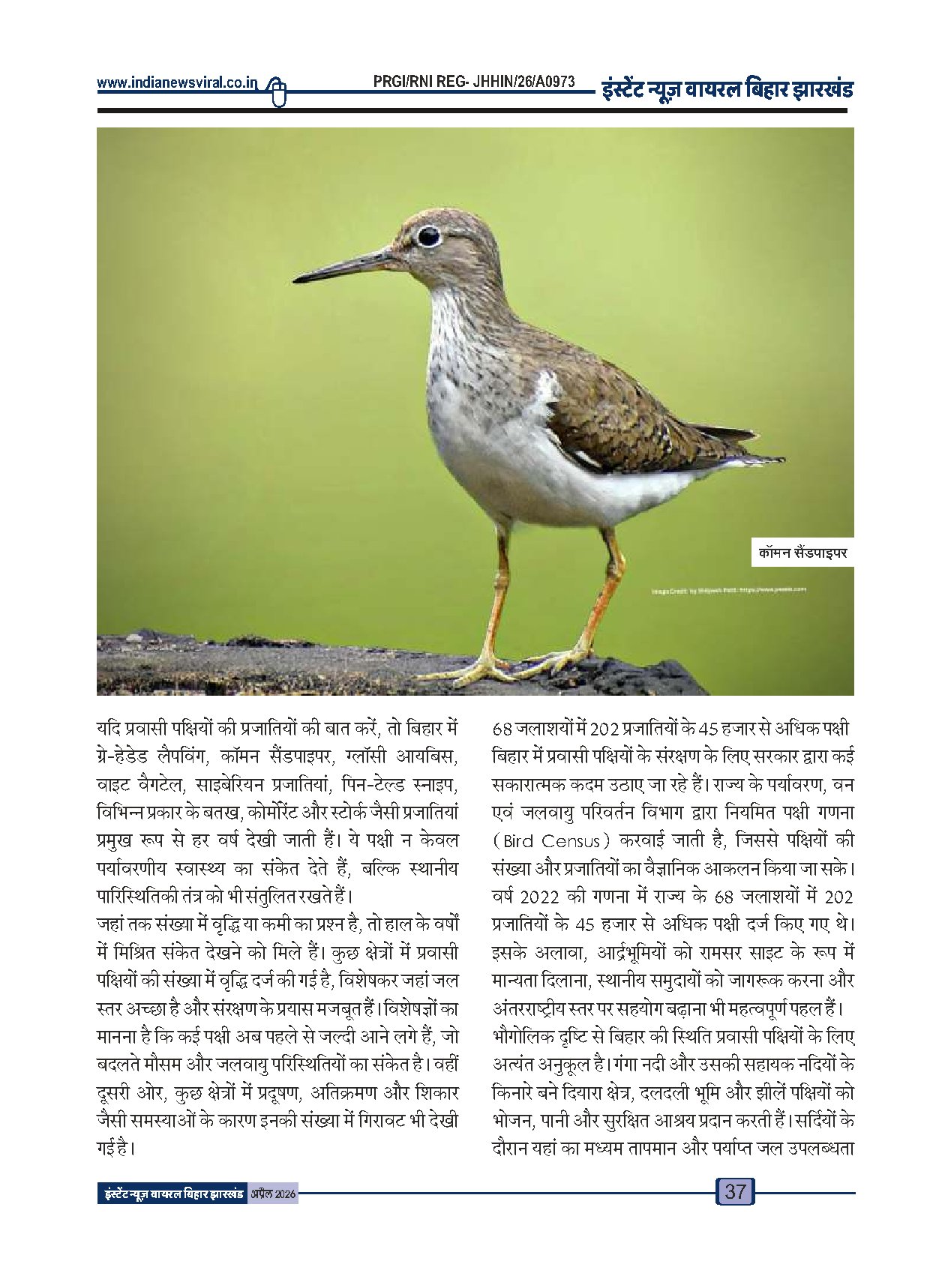 Page 37